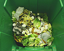 Food compost bin