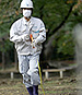 As Fukushima Cleanup Begins, Long-term Impacts are Weighed