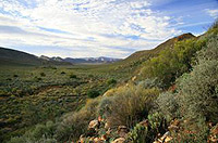 Karoo Landscape South Africa