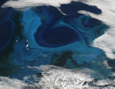 Phytoplankton Bloom Antarctica