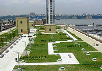 USPS Green Roof New York