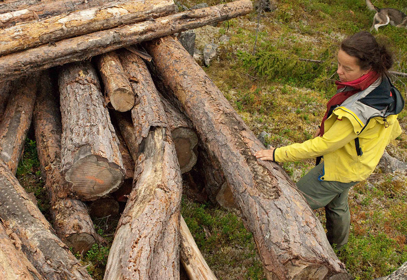 Sweden’s Green Veneer Hides Unsustainable Logging Practices