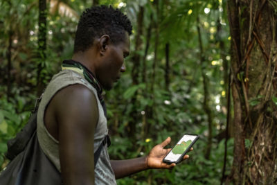 Ranger Elijah Qalolilio Junior uses a smartphone map app as he monitors the forest.