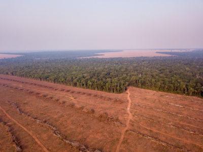 A recently deforested area near Sinop, Brazil.